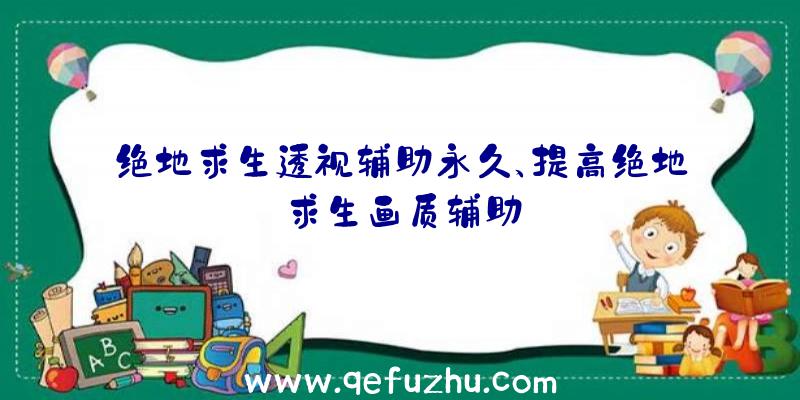 绝地求生透视辅助永久、提高绝地求生画质辅助