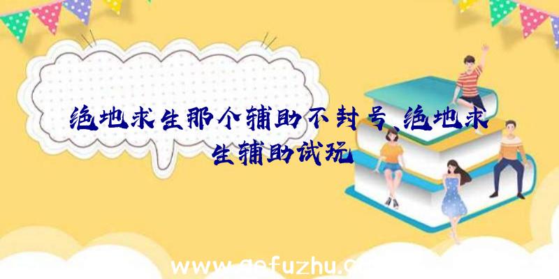 绝地求生那个辅助不封号、绝地求生辅助试玩