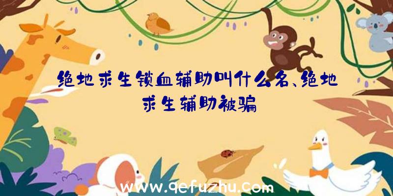 绝地求生锁血辅助叫什么名、绝地求生辅助被骗