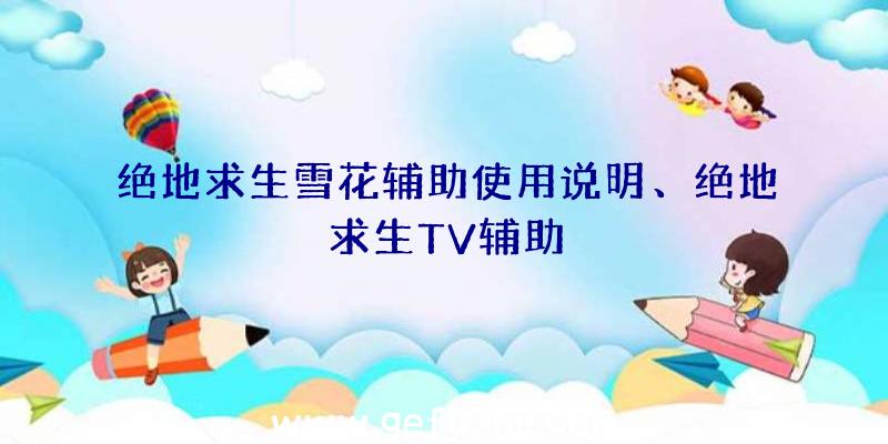 绝地求生雪花辅助使用说明、绝地求生TV辅助