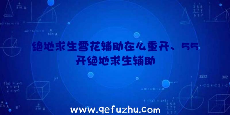 绝地求生雪花辅助在么重开、55开绝地求生辅助