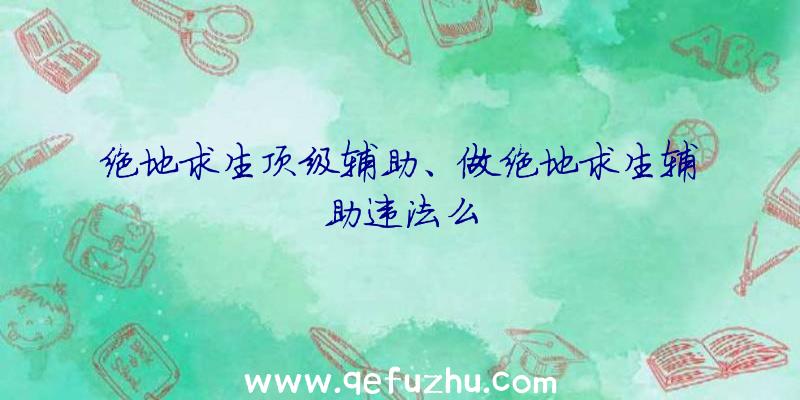 绝地求生顶级辅助、做绝地求生辅助违法么