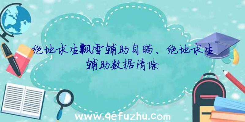 绝地求生飘雪辅助自瞄、绝地求生辅助数据清除