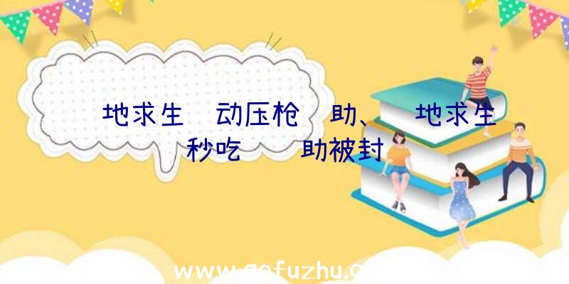 绝地求生驱动压枪辅助、绝地求生秒吃药辅助被封
