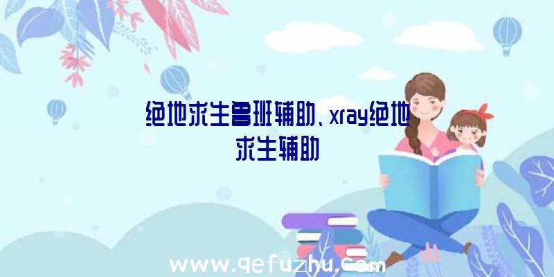 绝地求生鲁班辅助、xray绝地求生辅助