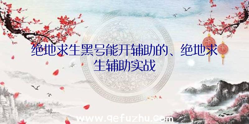 绝地求生黑号能开辅助的、绝地求生辅助实战