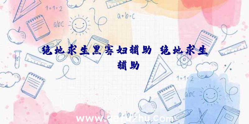 绝地求生黑寡妇辅助、绝地求生da辅助