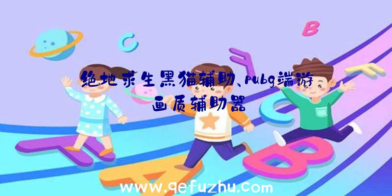 绝地求生黑猫辅助、pubg端游画质辅助器