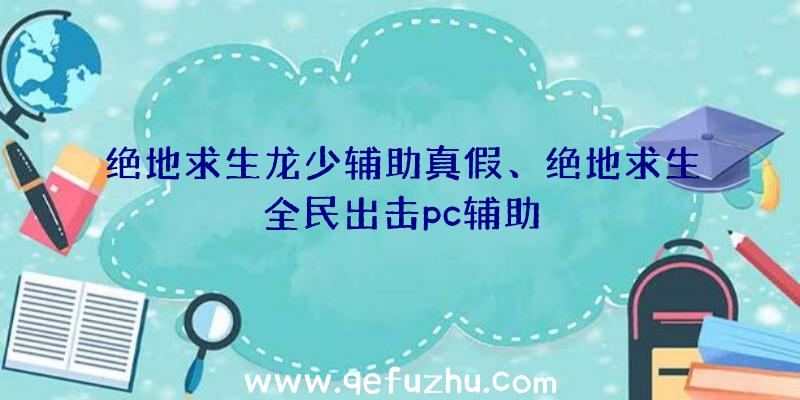 绝地求生龙少辅助真假、绝地求生全民出击pc辅助