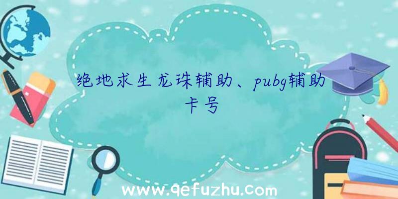 绝地求生龙珠辅助、pubg辅助卡号