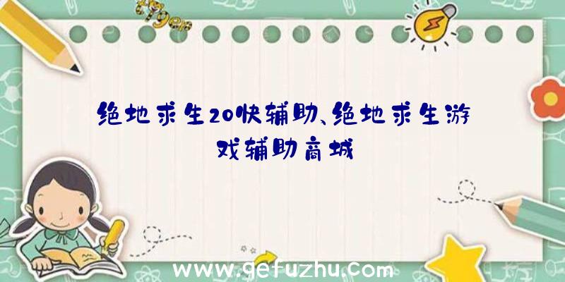 绝地求生20快辅助、绝地求生游戏辅助商城
