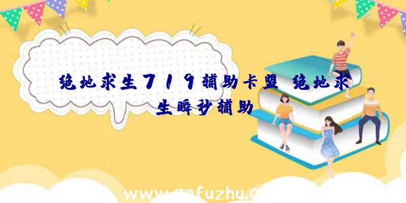 绝地求生719辅助卡盟、绝地求生瞬秒辅助