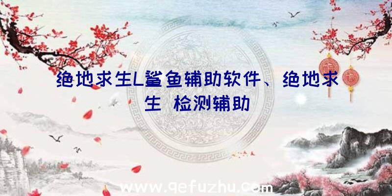 绝地求生L鲨鱼辅助软件、绝地求生