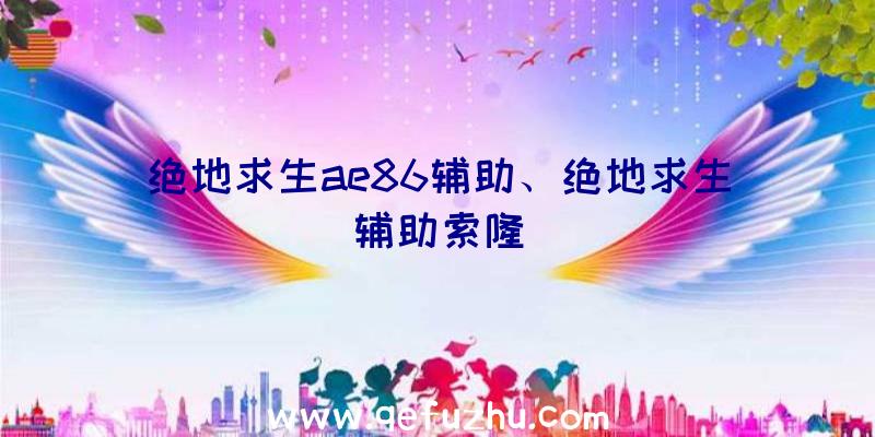 绝地求生ae86辅助、绝地求生辅助索隆