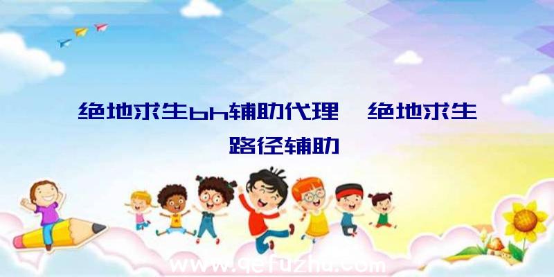 绝地求生bh辅助代理、绝地求生