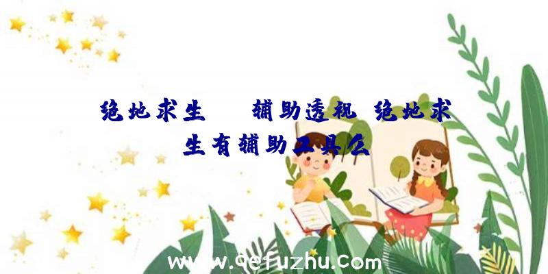 绝地求生cmd辅助透视、绝地求生有辅助工具么
