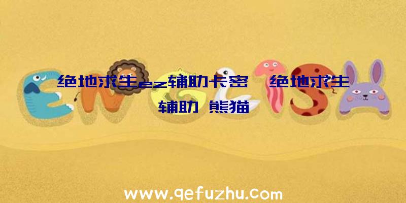 绝地求生ez辅助卡密、绝地求生辅助
