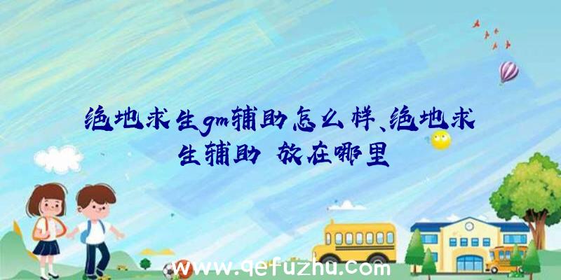 绝地求生gm辅助怎么样、绝地求生辅助