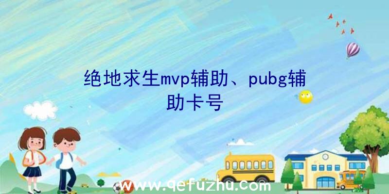 绝地求生mvp辅助、pubg辅助卡号
