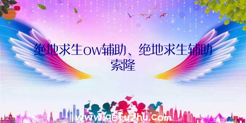 绝地求生ow辅助、绝地求生辅助索隆