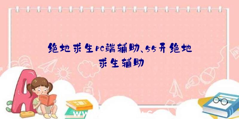 绝地求生pc端辅助、55开绝地求生辅助