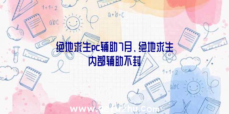 绝地求生pc辅助7月、绝地求生内部辅助不封