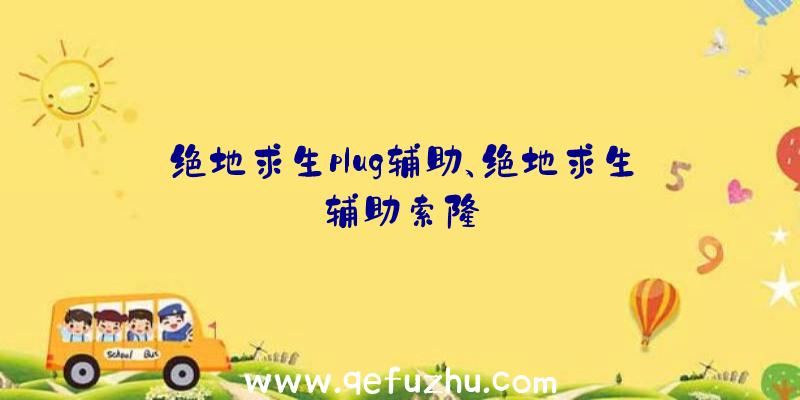 绝地求生plug辅助、绝地求生辅助索隆