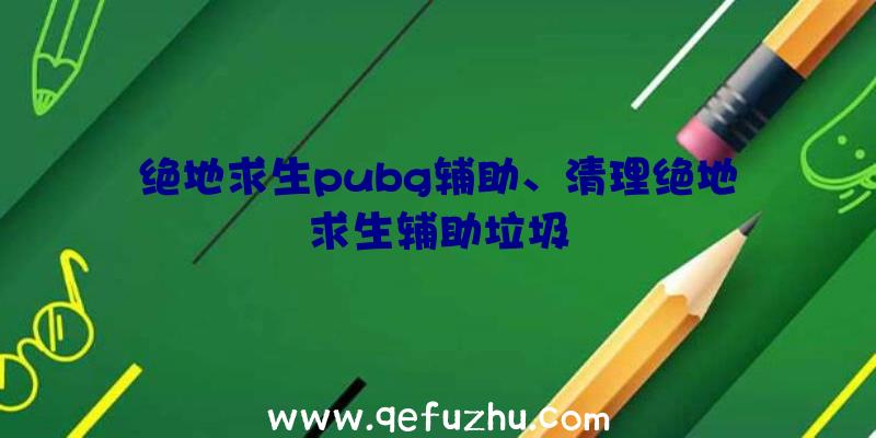 绝地求生pubg辅助、清理绝地求生辅助垃圾