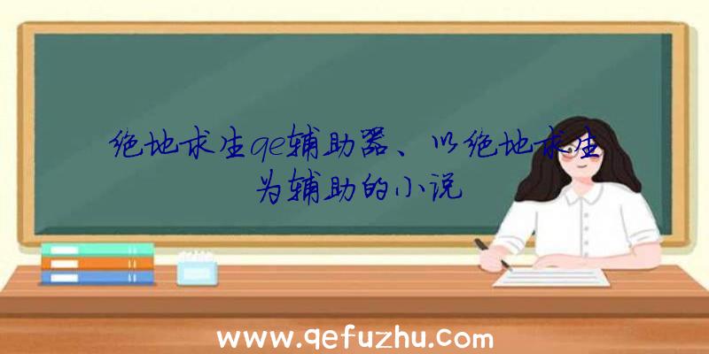 绝地求生qe辅助器、以绝地求生为辅助的小说