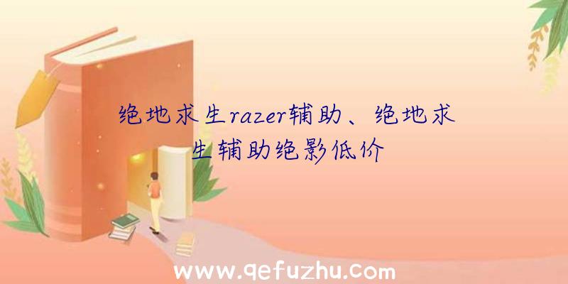 绝地求生razer辅助、绝地求生辅助绝影低价