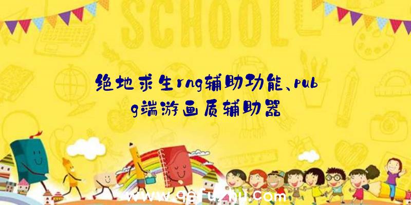 绝地求生rng辅助功能、pubg端游画质辅助器