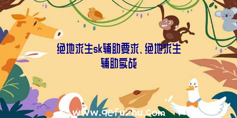 绝地求生sk辅助要求、绝地求生辅助实战