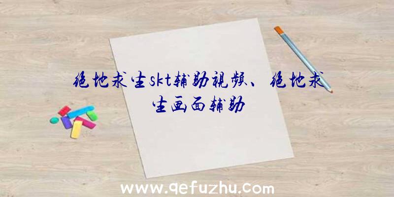 绝地求生skt辅助视频、绝地求生画面辅助