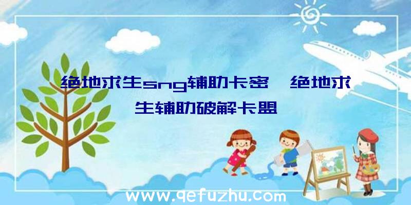 绝地求生sng辅助卡密、绝地求生辅助破解卡盟