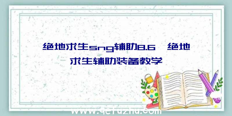 绝地求生sng辅助8.6、绝地求生辅助装备教学