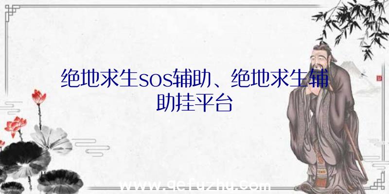 绝地求生sos辅助、绝地求生辅助挂平台
