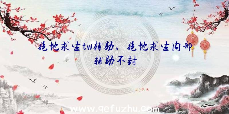 绝地求生tw辅助、绝地求生内部辅助不封