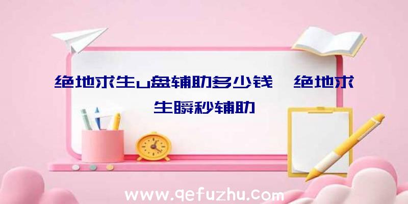 绝地求生u盘辅助多少钱、绝地求生瞬秒辅助