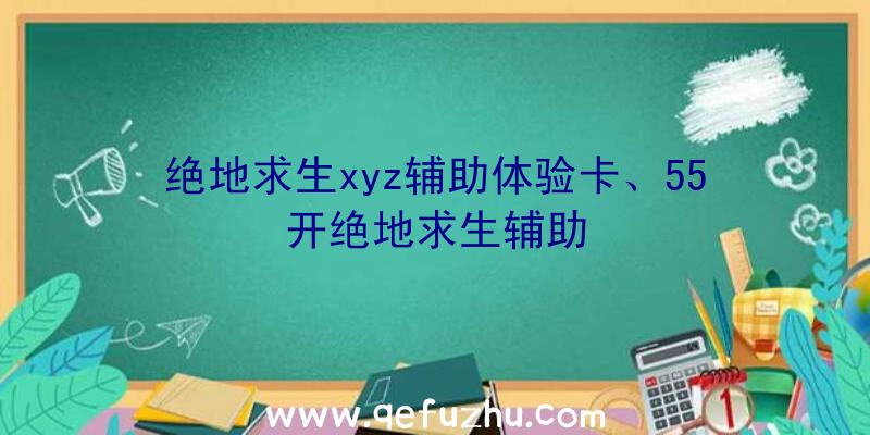 绝地求生xyz辅助体验卡、55开绝地求生辅助