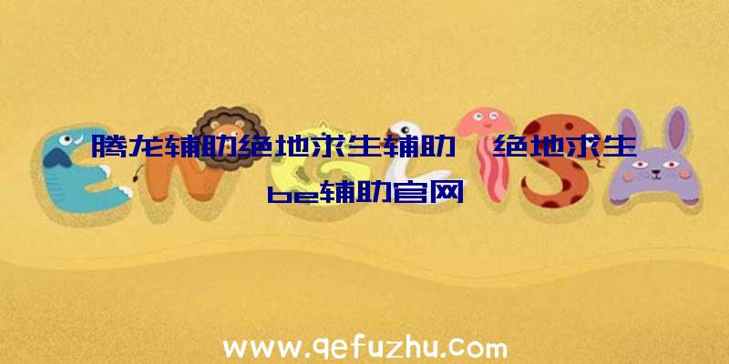 腾龙辅助绝地求生辅助、绝地求生be辅助官网
