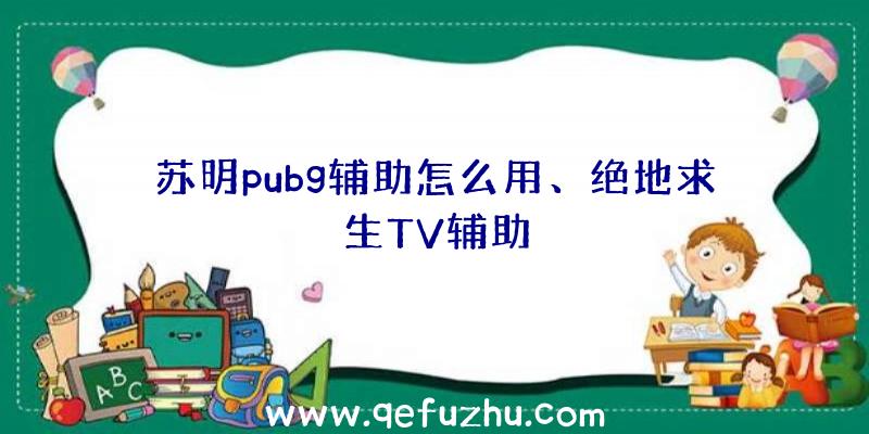 苏明pubg辅助怎么用、绝地求生TV辅助