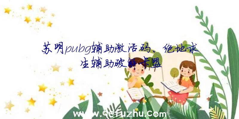 苏明pubg辅助激活码、绝地求生辅助破解卡盟