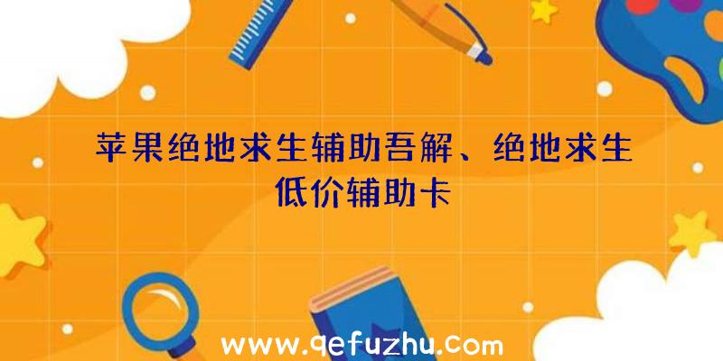 苹果绝地求生辅助吾解、绝地求生低价辅助卡