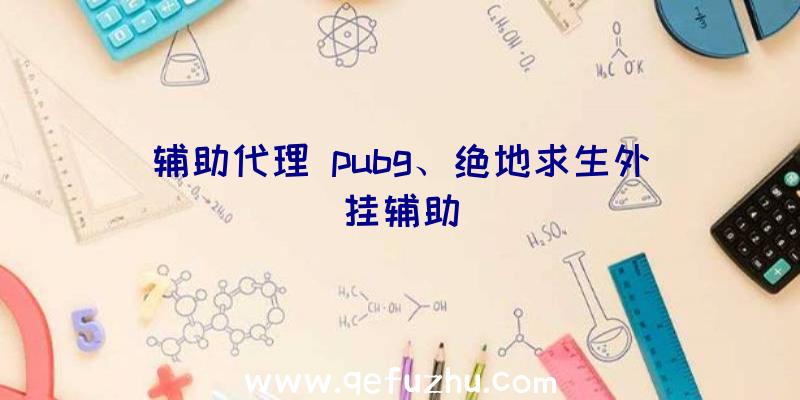 辅助代理