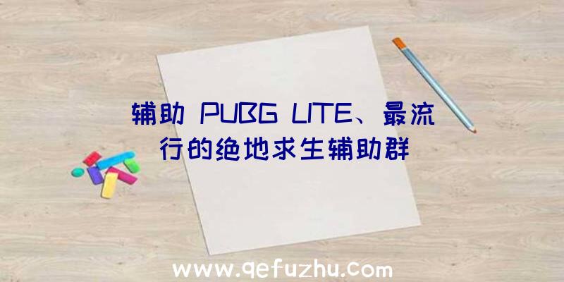 辅助
