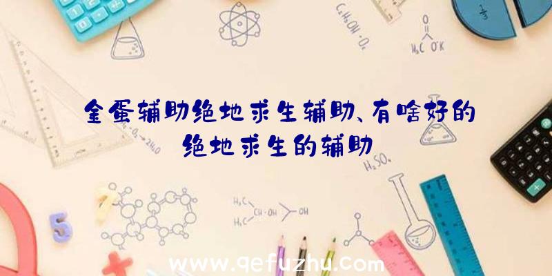 金蛋辅助绝地求生辅助、有啥好的绝地求生的辅助