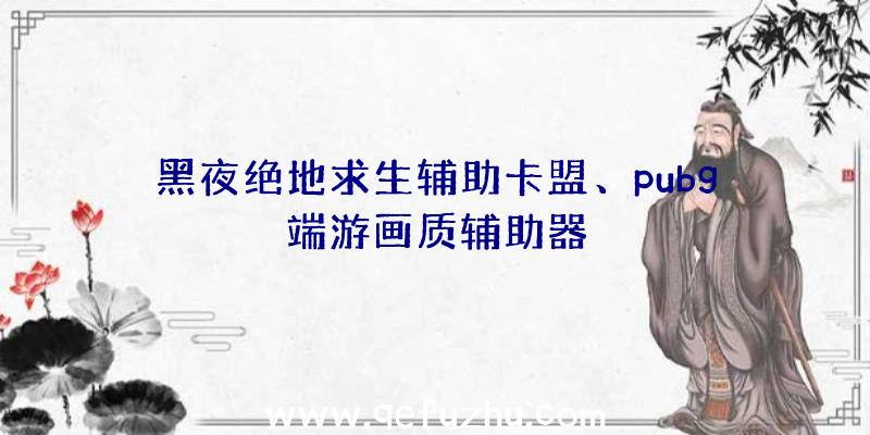 黑夜绝地求生辅助卡盟、pubg端游画质辅助器