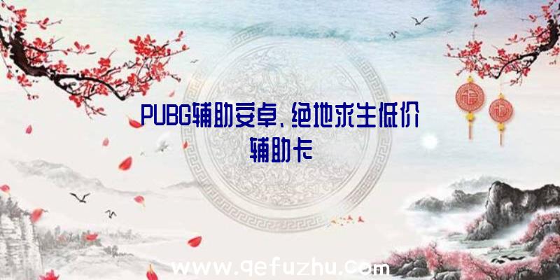 PUBG辅助安卓、绝地求生低价辅助卡