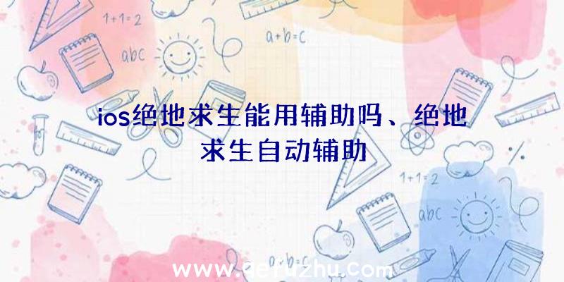 ios绝地求生能用辅助吗、绝地求生自动辅助