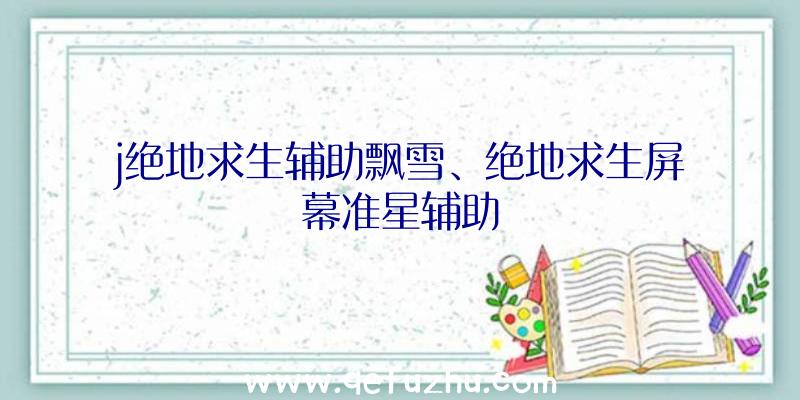 j绝地求生辅助飘雪、绝地求生屏幕准星辅助